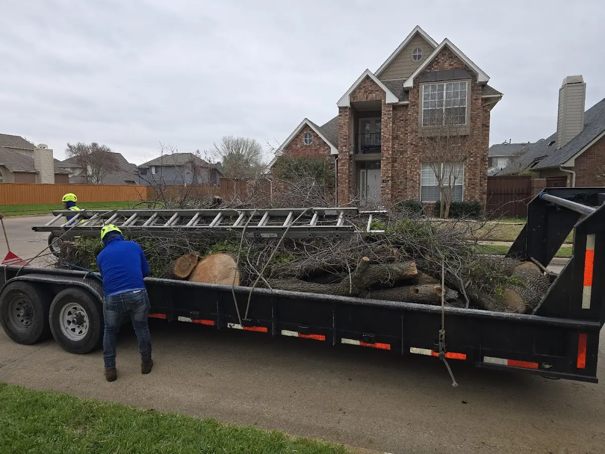 Expert Tree Fertilization with proper safety equipment in Gloucester